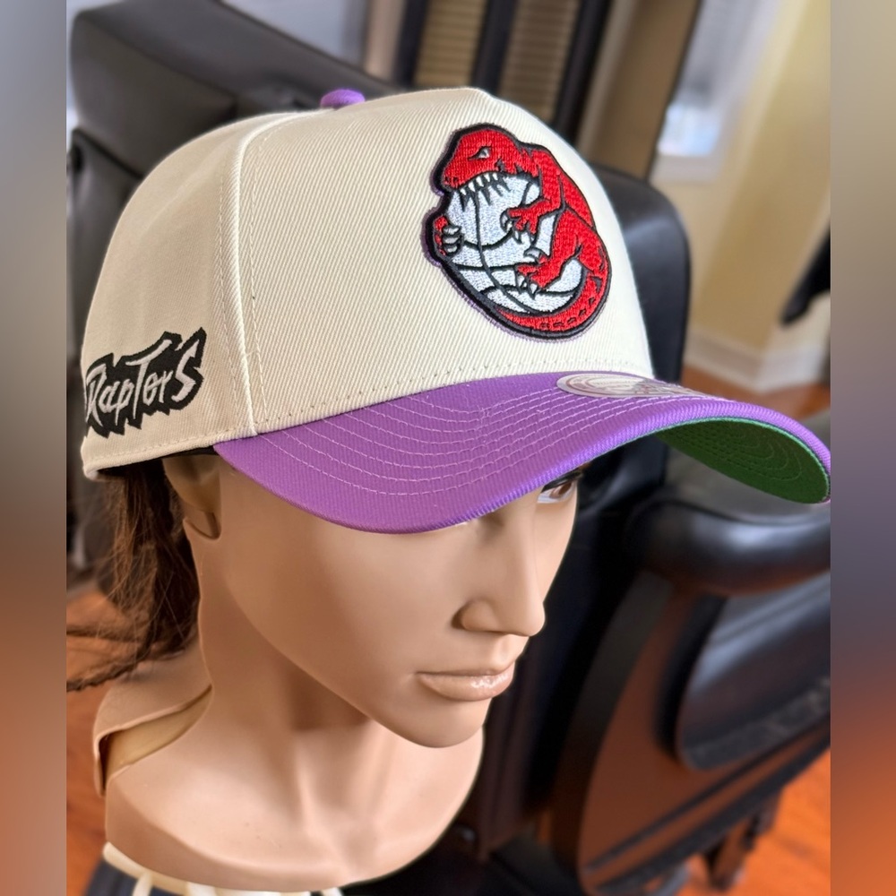 Gorgeous Raptors Cap!!!